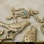 نمای نزدیک
