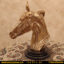 مجسمه برنزی کله اسب