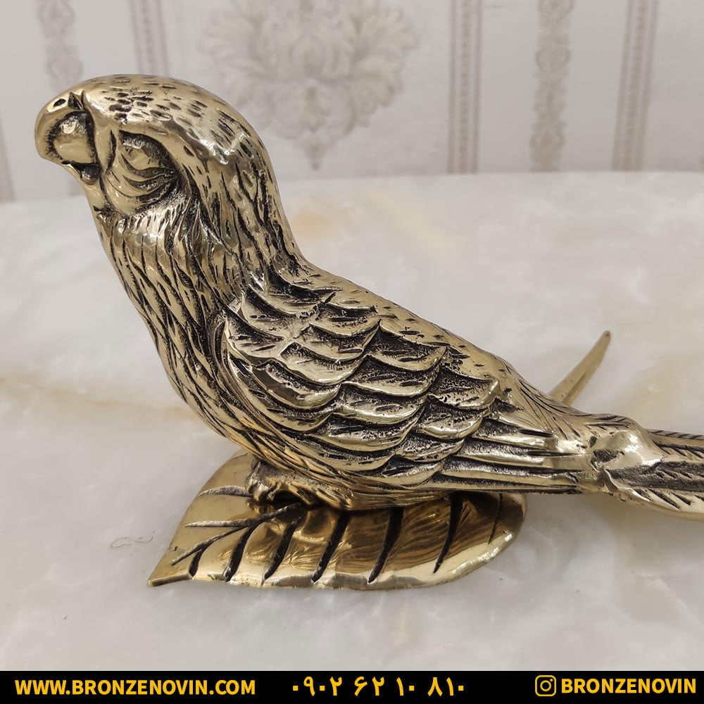 طوطی برنز