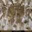 لوستر طوقه بزرگ ۱۰ شاخه