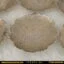 پیش دستی برنجی هندی