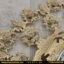 مدل گل رز استاتیک کرم طلایی