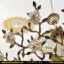 نمای نزدیک