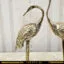 نمای نزدیک
