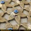 نمای نزدیک